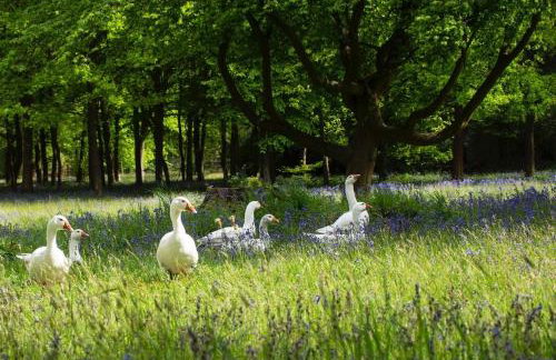 Gorgeous English Country Barn - Foto 26