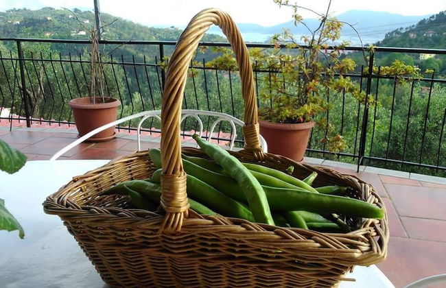 Oliva Azzurra - Foto 28