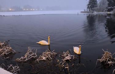 Haus am Walde - Foto 43