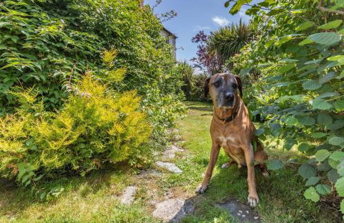 1 Bed in Petrockstow 42982 - Foto 13