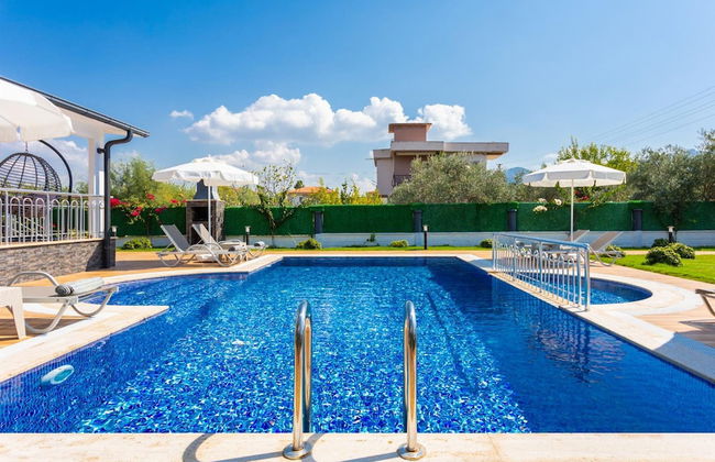 Villa Delfin in Dalyan - Photo 3