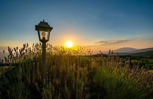 Le Tradizioni Casa Vacanze - Photo 42