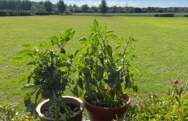 The Old Stable 1 - Foto 24