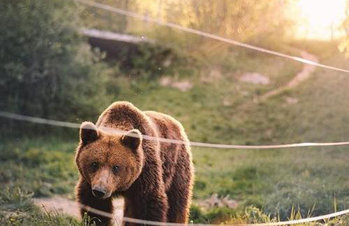 Holiday Home Sinac - Foto 37