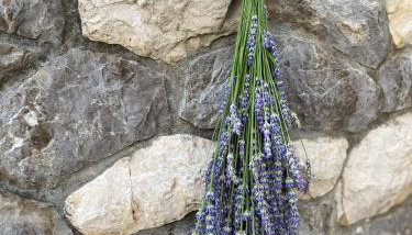 app OLIVER MALINSKA - Foto 2