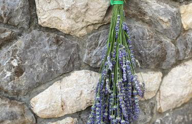 app OLIVER MALINSKA - Foto 2