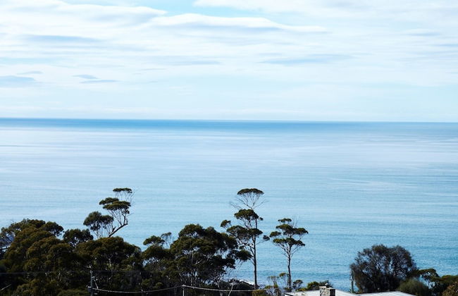 Dragonfly Lodge - Foto 22