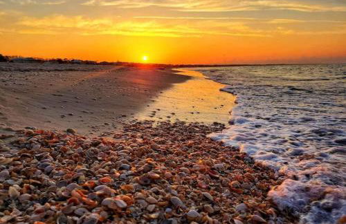 Tortuga Tillys - Foto 28