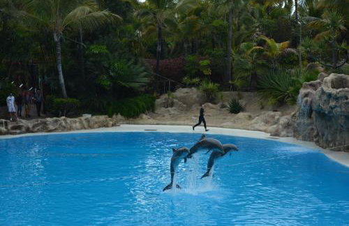 THE TEIDES WINDOW swimming pool LA VENTANA DEL TEIDE - Foto 79