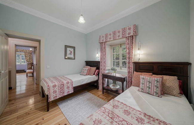 In Laurissilva Forest, Casa do Lanço -carvalho - Foto 15