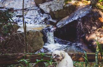 Quinta da Bocaina - Foto 80