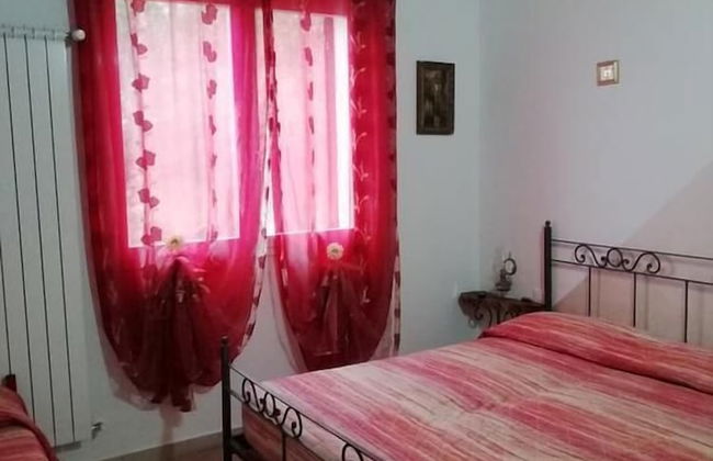 Agriturismo il Grande Ulivo - Foto 11