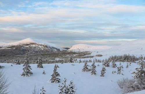 Osprey Apartment - Foto 35