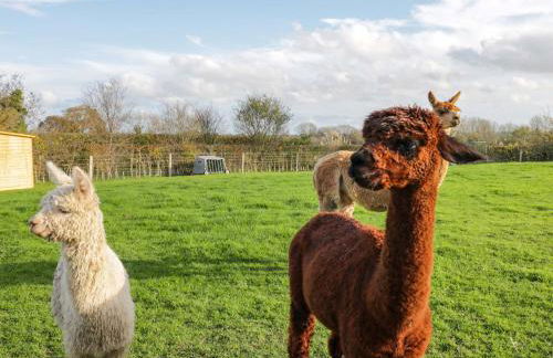 Wiltshire Weavers Hut - Foto 19