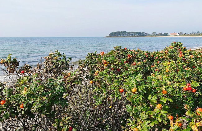 5 Star Holiday Home in Assens - Foto 30