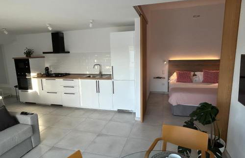 Sombra de Guanapay - Foto 14