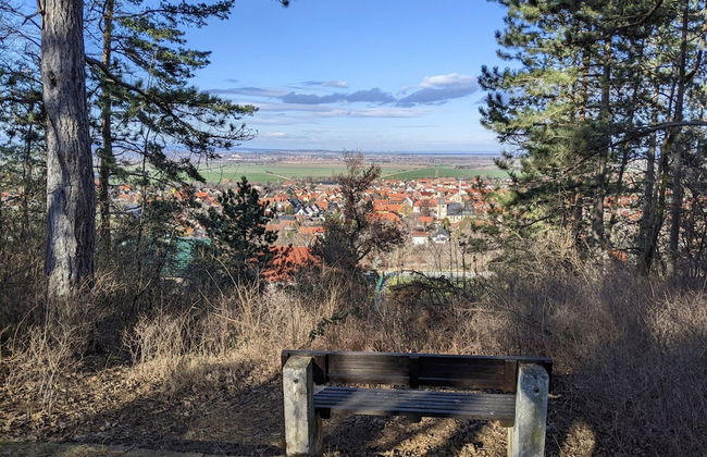 Holiday Home on the Mountain With Views - Photo 41