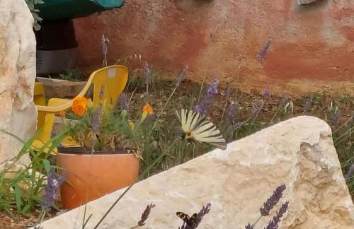 Nice holiday houses with Mediterranean garden - Foto 16