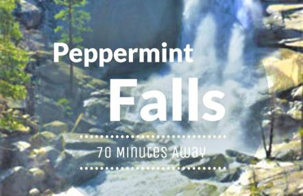 Redwood Retreat, Mountains, Adventure and Nature - Foto 49