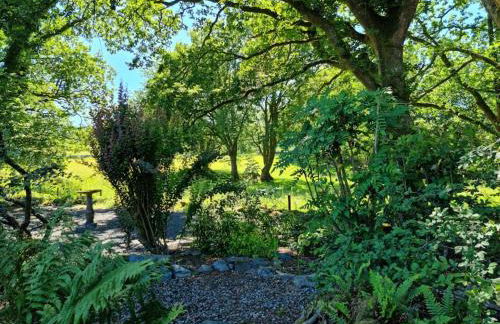 Luxury Wood Lodge with sauna, log burner & private woodland garden - Wnion Wood Lodge - Foto 37