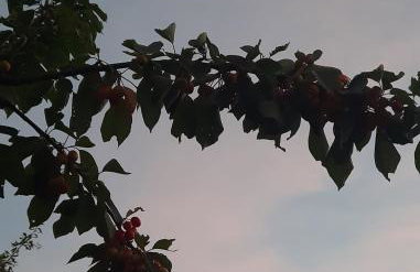 Vila s bazenom Anastazija - Foto 4