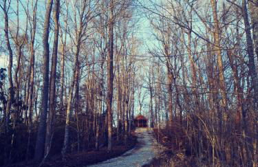 Two Rivers Cabins - The Mountaintop - Foto 7