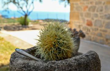 Athina's Stone House in Kardamyli - Foto 14