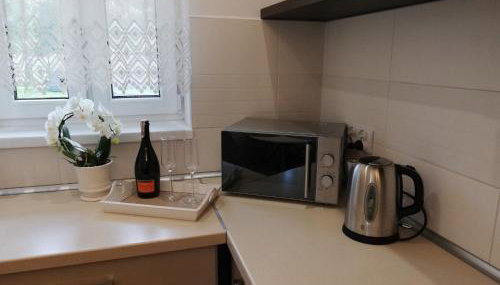 Leśny Apartament II - Foto 5