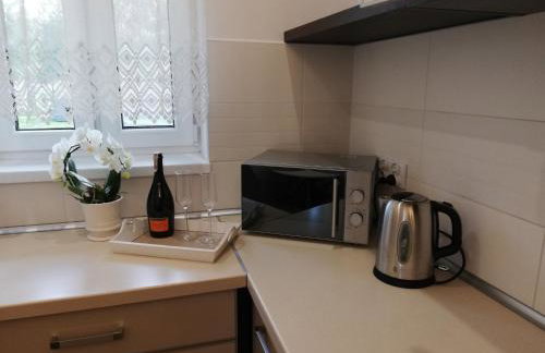 Leśny Apartament II - Foto 5