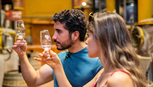 Tour del pisco por el Alto Elqui - Foto 2, Aprenderéis a diferenciar los piscos