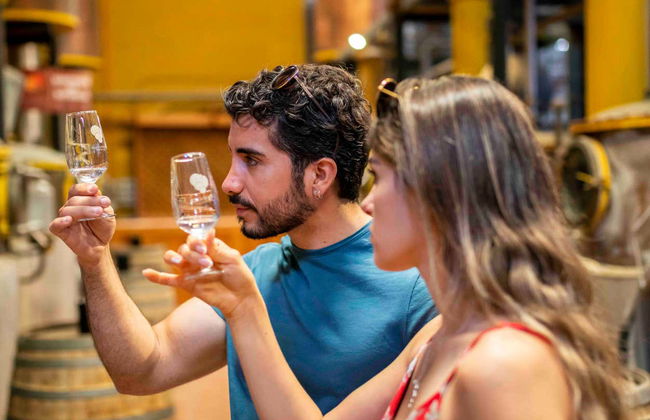 Alto Elqui Pisco Tour - Photo 2