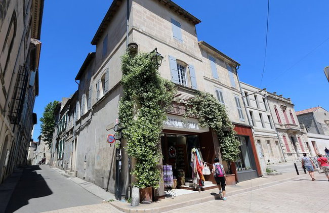 Arlés y el Espíritu de Camarga - Patrimonio Romano, Paisajes Salvajes - Foto 14