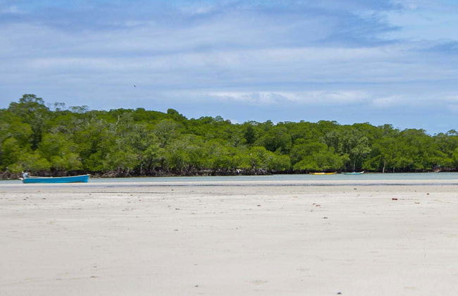 Paseo a caballo por la isla de Tinharé - Foto 1