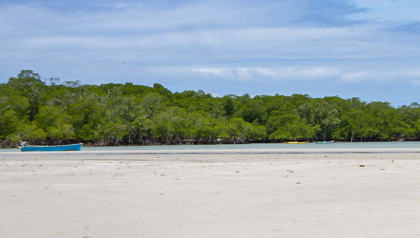 Horse Riding on Tinhare Island - Foto 2