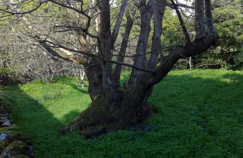 Quinta do Espírito Santo - Photo 35