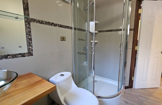 Oceana Suites Corralco - Photo 26