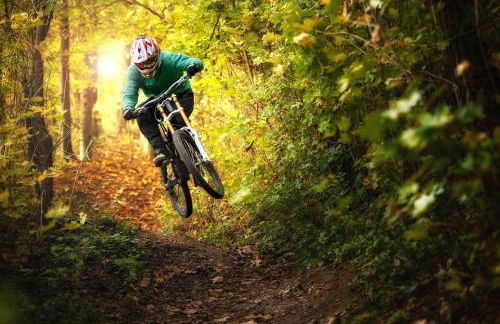 Minutes from Lookout Pass & Silver Mountain - Foto 48