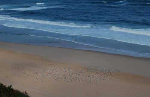 Santa Cruz Ocean View Villa - Foto 19