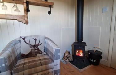 Shepherds haven hut Near Padstow - Foto 8