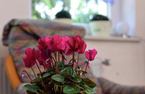 Apartment in the Hochsauerland region in a quiet location - Foto 83