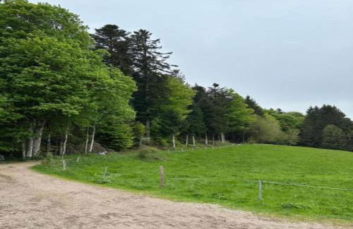 Ferienwohnung im Bernautal - Foto 76