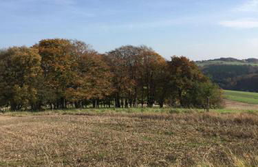 Ferienwohnung- Freuen - Foto 13