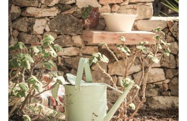 ELEONAS Othoni - Foto 21