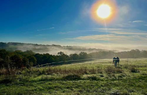 Le Causse en Quercy - Foto 12