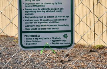 My Paradise - Foto 17