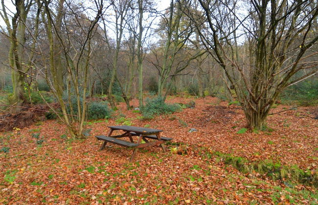 Cozy Cottage in Aywaille With Valley View - Photo 21
