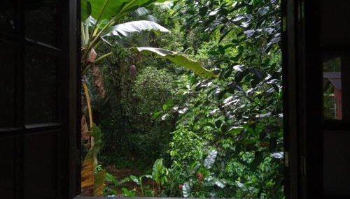 Chalé Recanto da Cachoeira - Foto 2, Garden view