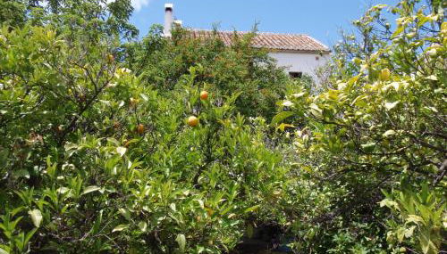 Casa de la Fuente - Foto 3, Garden