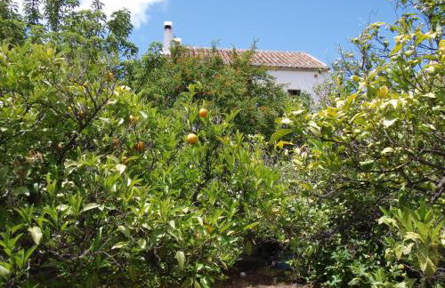 Casa de la Fuente - Foto 3