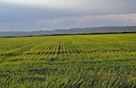 Ferienwohnung Balzereit - Foto 12